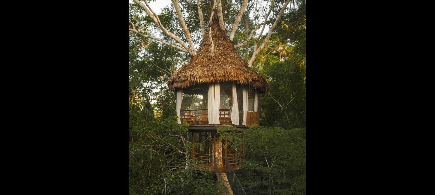 treehouse two
