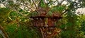 treehouse four at iquitos