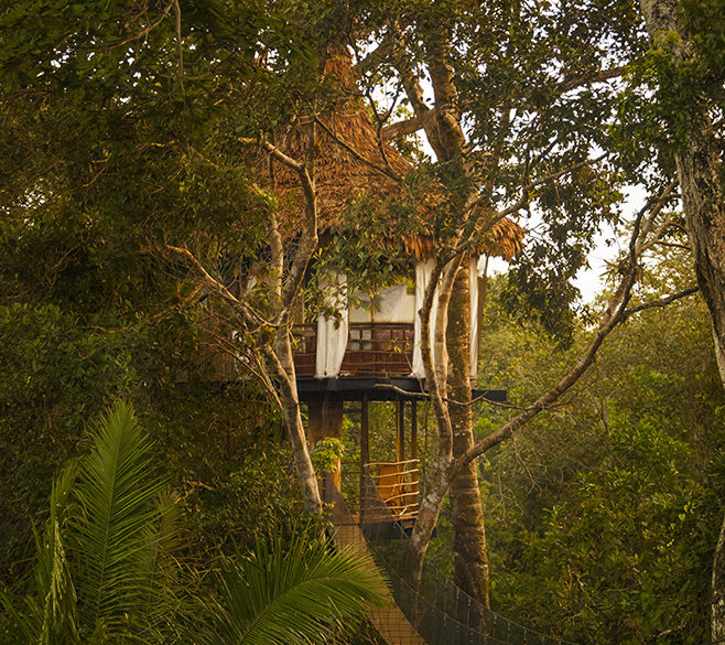 treehouse lodge peru