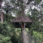 treehouse lodge peru